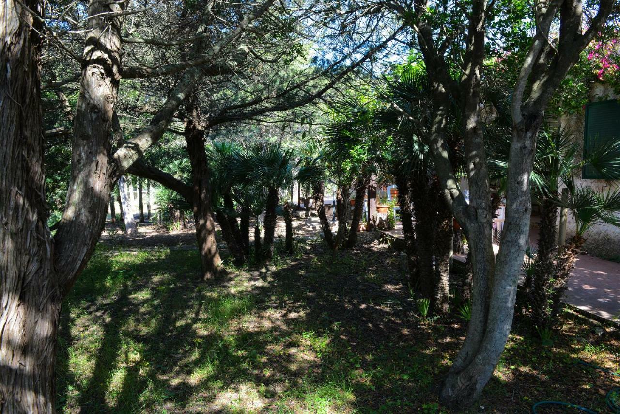 Villa Margherita Alghero Buitenkant foto